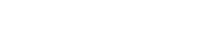 The Ameriflex Group logo